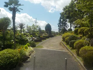 光陽台中央公園の写真