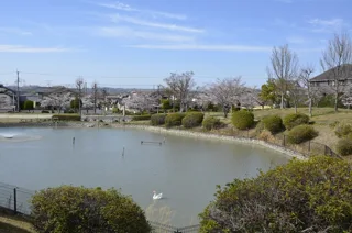 真弓中央公園の写真