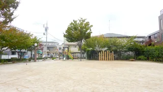 かるがもひろばの写真