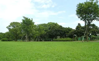 篠崎公園の写真