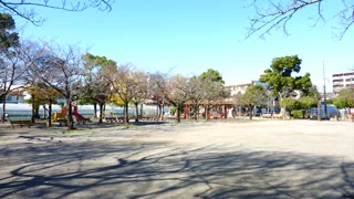 春江の森公園の写真
