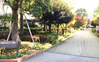 小松川なかよし緑地の写真