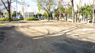 春江ツバキ公園の写真