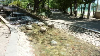 宇喜田中央公園の写真