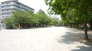 滝野公園の写真