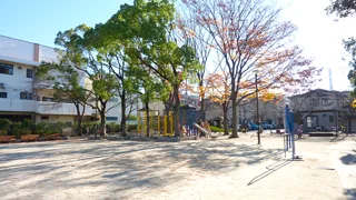 東部公園の写真