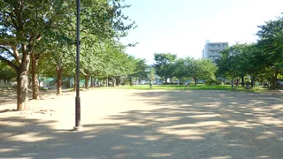 東葛西けやき公園の写真