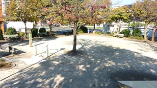 本一色マロニエ公園の写真