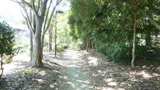 臨海町四丁目緑地の写真