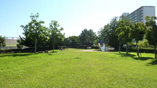 南葛西五丁目公園の写真
