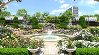 総合レクリエーション公園(フラワーガーデン)の写真