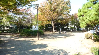 大杉公園の写真