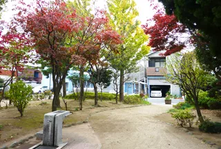 鹿骨グリーンひろばの写真