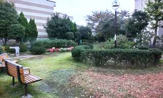 南小岩二丁目南児童遊園の写真