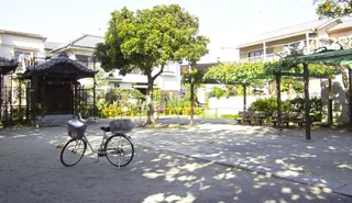 諏訪児童遊園の写真