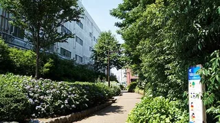 下鎌田あじさい公園の写真