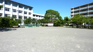 南葛西五丁目児童遊園の写真