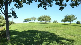総合レクリエーション公園(なぎさ公園・ポニーランド)の写真