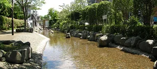 一之江境川親水公園の写真