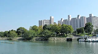 新左近川親水公園の写真