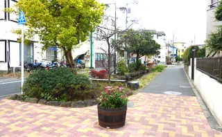 流堀親水はなのみちの写真