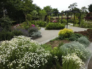 相模三川公園の写真