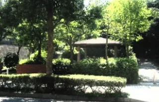 向原西公園の写真