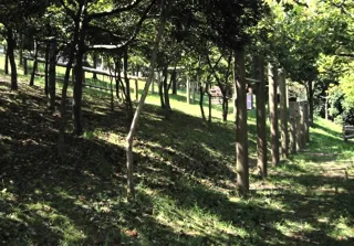 グリーンヒルテニス公園の写真