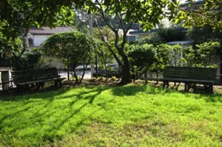 山の根松本公園の写真