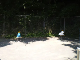 第一運動公園の写真