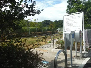 披露山公園の写真