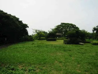 池子の森緑地の写真