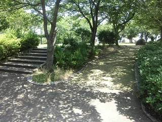 市ノ坪公園の写真