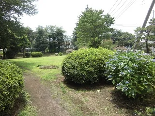 天神下公園の写真