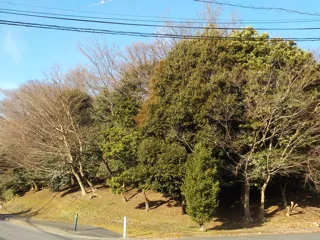中新田丸田公園の写真