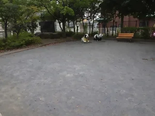 国分第一児童公園の写真