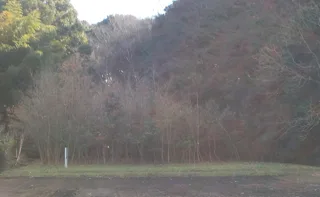 大谷第一児童公園の写真
