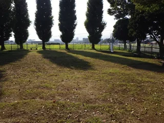 泉第一公園の写真