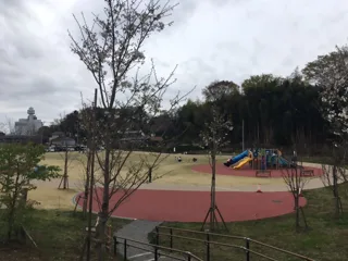 新羽根沢公園の写真
