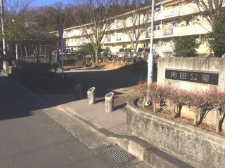駒形富士見公園の写真
