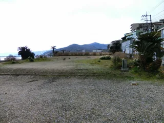 ゆり公園の写真