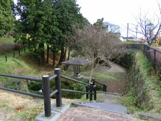 桜木公園の写真