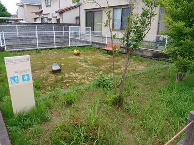 泉野町一丁目たけのこ小公園の写真