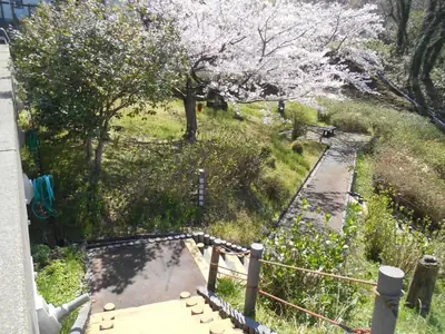 岩出町緑地の写真