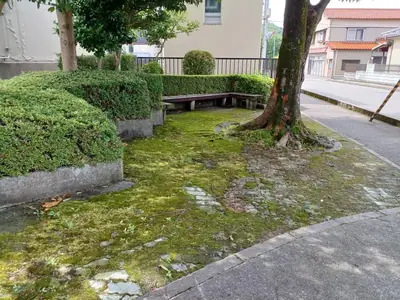 円光寺１丁目小緑地の写真