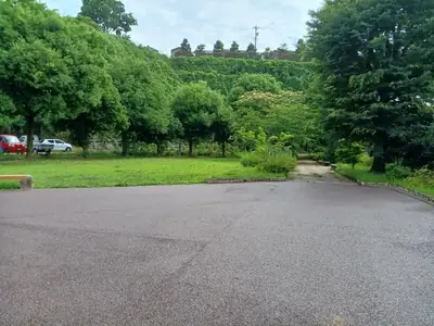 大桑町河川緑地の写真