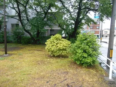 小金町緑地の写真