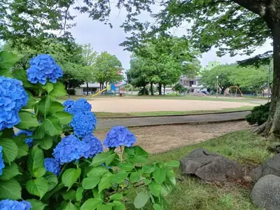 小立野児童公園の写真
