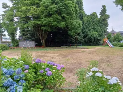 菫児童公園の写真