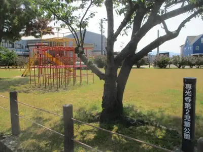 専光寺第２児童公園の写真